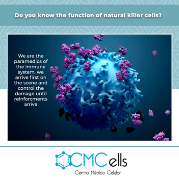 Slider image (3) Cmcells, Centro Medico Celular, (Stem Cells Medical Center)